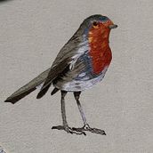 Pintar con hilo: técnicas de ilustración textil Petirrojo. Embroider project by Rocío - 03.25.2019
