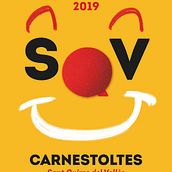 Carnaval 2019 a Sant Quirze del Vallès. Graphic Design project by Aniol Tarín Estapé - 02.01.2019