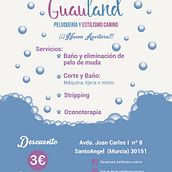 Flayer Guauland. Un proyecto de Diseño gráfico de Enrique Daniel García-Valbuena Moya - 28.03.2019