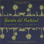 Diseño CD Sonidos del Pantanal. Graphic Design project by Tamara Diaz - 03.28.2018
