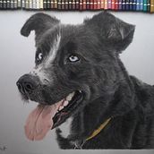 Sime. Un proyecto de Bellas Artes, Dibujo, Dibujo artístico y Dibujo realista de Cristina Bodeanu - 12.04.2019