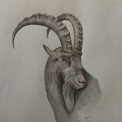 Mi Proyecto del curso: Cómo diseñar un tatuaje. Fine Arts, Drawing, Pencil Drawing, Realistic Drawing, and Traditional illustration project by David Ato Guardiola - 04.01.2019