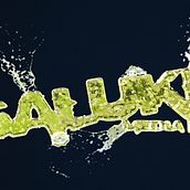 Saluki Media . 3D, 3D Animation, and Design project by Pedro Miralles Lorenzo - 04.01.2019
