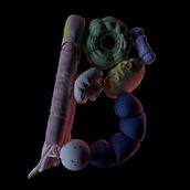 36 Days Of Type . % Edwar Banquet tarafından hazırlanan 3D, Animas, on, 3D Animas, on, Ve Sanat Yönetmenliği projesi - 04.03.2019