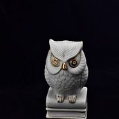 Mi Proyecto del curso: Introducción a la iluminación fotográfica con flash de mano . % jorgeandres47 tarafından hazırlanan Fotoğrafçılık projesi - 04.11.2019