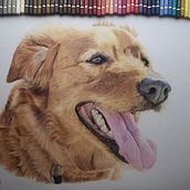 Coco. Un proyecto de Bellas Artes, Dibujo, Dibujo a lápiz y Dibujo realista de Cristina Bodeanu - 12.04.2019
