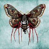 Errata Naturae. Collage, Graphic Design, and Traditional illustration project by miguetelo - 04.12.2019