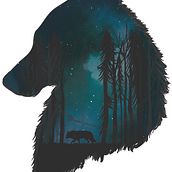 Mat yoga Wolf. Ilustração digital projeto de vanesa guarino - 12.04.2019