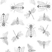 Empapelado de insectos. Interior Architecture, Interior Design, and Digital Illustration project by Maitea del Hierro Oteriño - 04.15.2019
