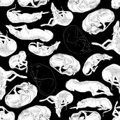 Galgos . Ilustração tradicional projeto de Amelia Amórtegui - 08.03.2017