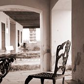 La Avaricia del Ser Humano. Photograph project by Adrián Segura Gonzalez - 04.23.2019