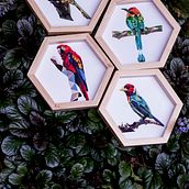 Colección Pájaros de Antioquia. . Un proyecto de Diseño industrial de Lina Montoya - 01.09.2018