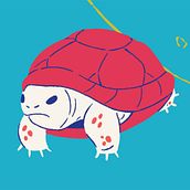 Soñé con tortugas. Un proyecto de Pattern Design, Diseño gráfico e Ilustración tradicional de Ana Laura Califa - 25.04.2019