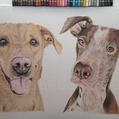 Leía y Chimo. Un proyecto de Bellas Artes, Dibujo, Dibujo a lápiz, Dibujo artístico, Dibujo de Retrato y Dibujo realista de Cristina Bodeanu - 25.04.2019
