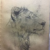 Dibujos a Lápiz. Animales . Un proyecto de Animación, Bocetado, Creatividad, Dibujo, Dibujo a lápiz, Dibujo artístico, Dibujo realista, Diseño, Diseño de personajes e Ilustración tradicional de Ana Kath - 02.05.2019