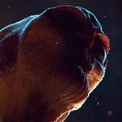 ALIEN / SCI-FI / UFO. 3D, 3D Animation, Character Animation, Concept Art, Design, 3D Character Design, and VFX project by Asen Kartsov - 05.01.2018