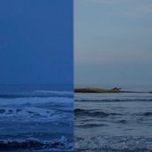 ________________ , __________.. Vídeo projeto de lauramorenobueno - 07.05.2019