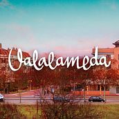 Valalameda Ein Projekt aus dem Bereich Br, ing und Identität, Webentwicklung, Grafikdesign, Webdesign und Lettering von Daniel Peña Antón - 07.05.2019