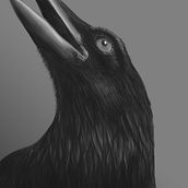 Cuervo Ein Projekt aus dem Bereich Digitale Illustration von Carlos Arriaga - 24.12.2018