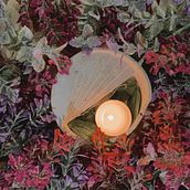 Mi Proyecto del curso: Fotografía creativa para redes sociales Athenea. Projekt z dziedziny Fotografia produktowa użytkownika Kysbel A. Adames Tejera - 21.05.2019