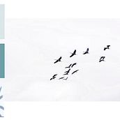 Mi Proyecto del curso: Fotografía profesional para Instagram. Un projet de Design , Photographie numérique , et Gestion de portefeuille de Paula Calero Ostariz - 07.11.2019