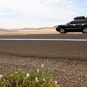 Recuerdos del desierto de Tarapacá Chile . Een project van Fotografie van Dillana Do Santos - 04.02.2019