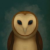 Mi Proyecto del curso: Lechuza Blanca. Un proyecto de Ilustración digital de Fernanda Mosqueira Giacaman - 26.05.2019
