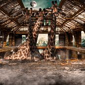 Mi Proyecto del curso: Secretos del fotomontaje y el retoque creativo. Photo Retouching project by diego_f33 - 05.28.2019