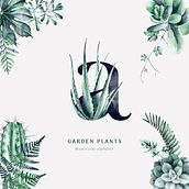 Alfabeto botánico / acuarela. Artistic Drawing, Design, Graphic Design, Writing, Traditional illustration, Lettering, Watercolor Painting, T, and pograph project by Kris Lemon - 05.28.2019