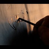 Olof [corto doc]. Film, Video, TV, and Painting project by Sancho Ortiz de Lejarazu - 05.30.2012