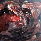 Koi mermaid. Drawing, Traditional illustration, and Digital Illustration project by Alejandra Galadí Leiva - 06.03.2019