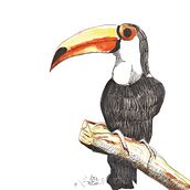 Animales con acuarelas. Drawing project by Lore Vittón - 10.01.2017