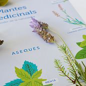 ASEQUES. Br, ing, Identit, Packaging, and UX / UI project by Marta Gràcia - 06.06.2019