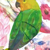 watercolor project, Arlo Photoshop edit. Artistic Drawing, Photo Retouching, and Watercolor Painting project by Maria Andrea Sanchez Cepeda - 06.07.2019