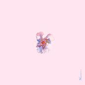 Minimal Flowers . % Naiara Hernantes tarafından hazırlanan Poster Tasarımı, İç Tasarım, Grafik Tasarım, Geleneksel illüstras, Ve on projesi - 06.13.2019