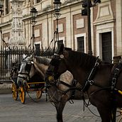 Fotografía Calle // Sevilla-Ronda (Málaga) 2018. Photograph, and Digital Photograph project by Lucía L.Huertas - 08.12.2018