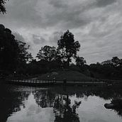Mi Proyecto del curso: Fotografía y composición para Instagram. Mobile Photograph project by Lucas Pandolfi - 06.17.2019