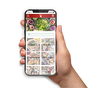 App Red Sano. Un projet de Conception d'affiches, Design graphique , et Conception mobile de Lorena Rodríguez Urdiales - 17.06.2019