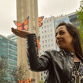 Mariposas Chilensis. Intervención urbana.. 3D, and Street Art project by Valeria Merino - 09.28.2017