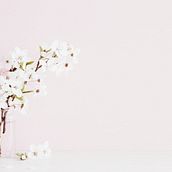 Mi Proyecto del curso: Fotografía profesional para la cuenta de instagram de mi boutique floral @flordecerezo.mx. Decoration project by Sandra Cárdenas Campos - 06.30.2019