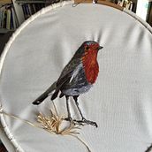 Petirroja pensando hacer su nido. Embroider project by CarolinaRosario Núñez Díaz-Corralejo - 06.29.2019