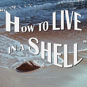 Gimaguas - How to live in a shell. Film, Video, TV, Fashion Design, Filmmaking, and Video project by Biel Blancafort - 07.02.2019