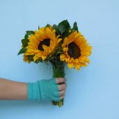 Mi Proyecto del curso: Fotografía profesional para Instagram . % Sandra González tarafından hazırlanan Mobil Fotoğrafçılık, Stüd, o Fotoğrafçılığı, Ve Ürün Fotoğrafçılığı projesi - 06.19.2019