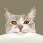 Serie "Diario Visual felino". Un progetto di Illustrazione digitale di Solo Eva - 10.07.2019