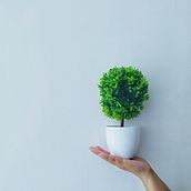 Mi Proyecto del curso: Fotografía profesional para Instagram. Een project van Mobiele fotografie, Instagram, Marketing, Digitale marketing y Social media van Werlon Ribeiro - 13.07.2019