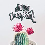Harry Houseplant . Branding Design. Br, ing, Identit, Traditional illustration, Vector Illustration, and Lettering project by Pilar Chamorro Mora - 06.30.2020