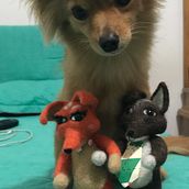 Mi Proyecto del curso: Needle felting: creación de personajes con lana y aguja. Un proyecto de Artesanía de Vera Orchid Lopez Mariño - 16.07.2019