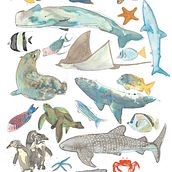 Animales de Galápagos, Inktober 2018. Collage, Drawing, Traditional illustration, and Watercolor Painting project by Estefania Santos Gallegos - 06.10.2019