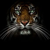 Grandes esperanzas Ein Projekt aus dem Bereich Artistische Fotografie von Maribel Mateo - 20.07.2019