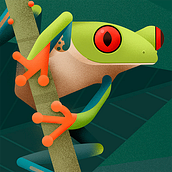 Hylidae. Colección de ilustraciones de ranas arborícolas.. Un proyecto de Ilustración tradicional e Ilustración digital de David Comerón - 01.08.2019